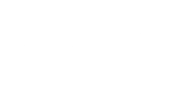 Assault Snowbikes